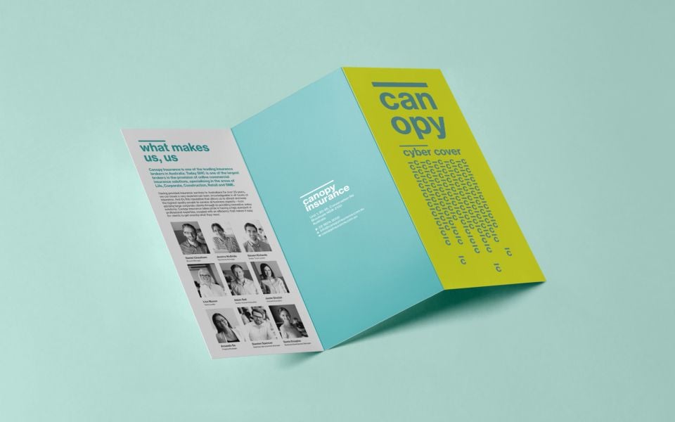 A Step-by-Step Brochure Design Process for Business